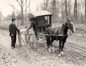 Horse and Buggy